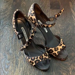 Leopard Manolo Blahnik sandal